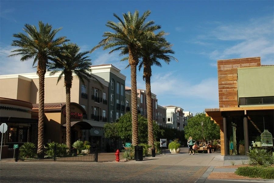 Palm lined street in Henderson, Nevada